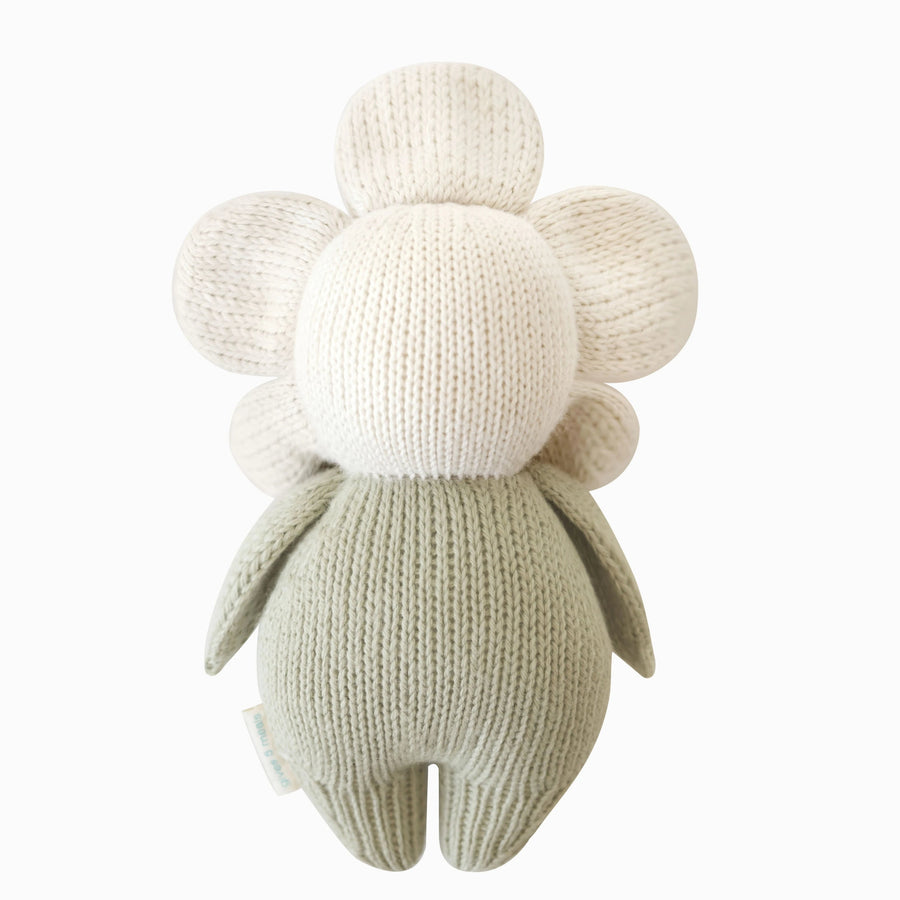 Ivory Baby Daisy