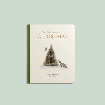 Our Little Adventures at Christmas