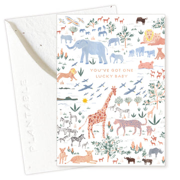 Lucky Baby Mini Greeting Card