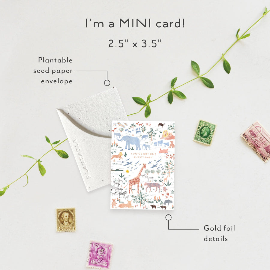 Lucky Baby Mini Greeting Card