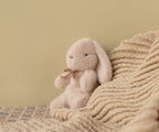Mini Light Powder Plush Bunny
