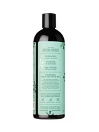 Winter Mint Bliss Body Wash