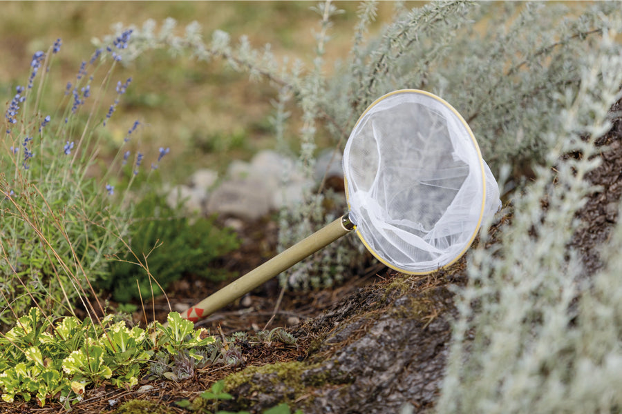 Wood Butterfly Net