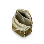 Tiny Tommy Pack