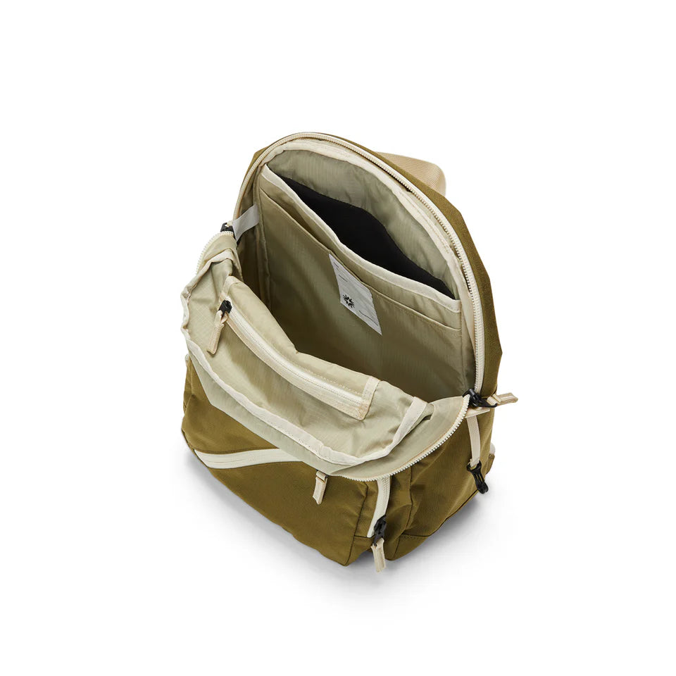 Tiny Tommy Pack