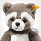 Pedro Raccoon