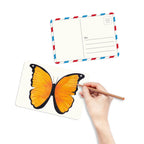 Butterfly & Moth Coloring Postcards - Set of 30
