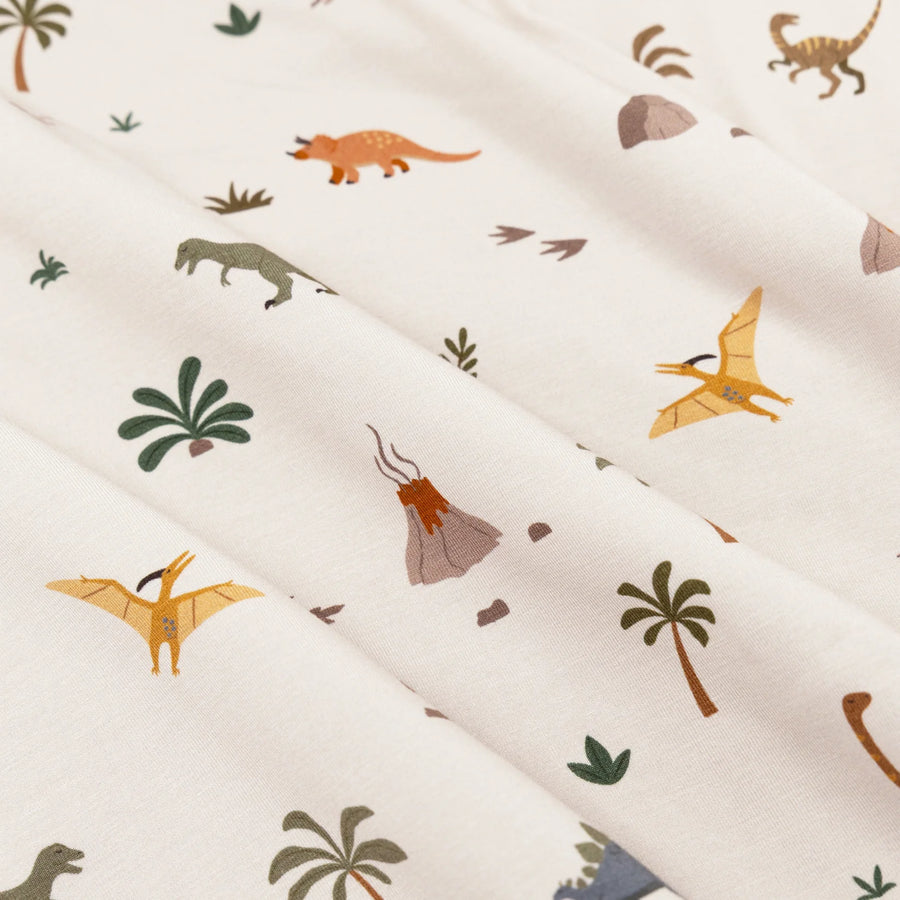 Prehistoric Dinosaurs Toddler Blanket