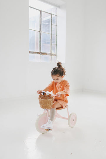Banwood Trike - Pink