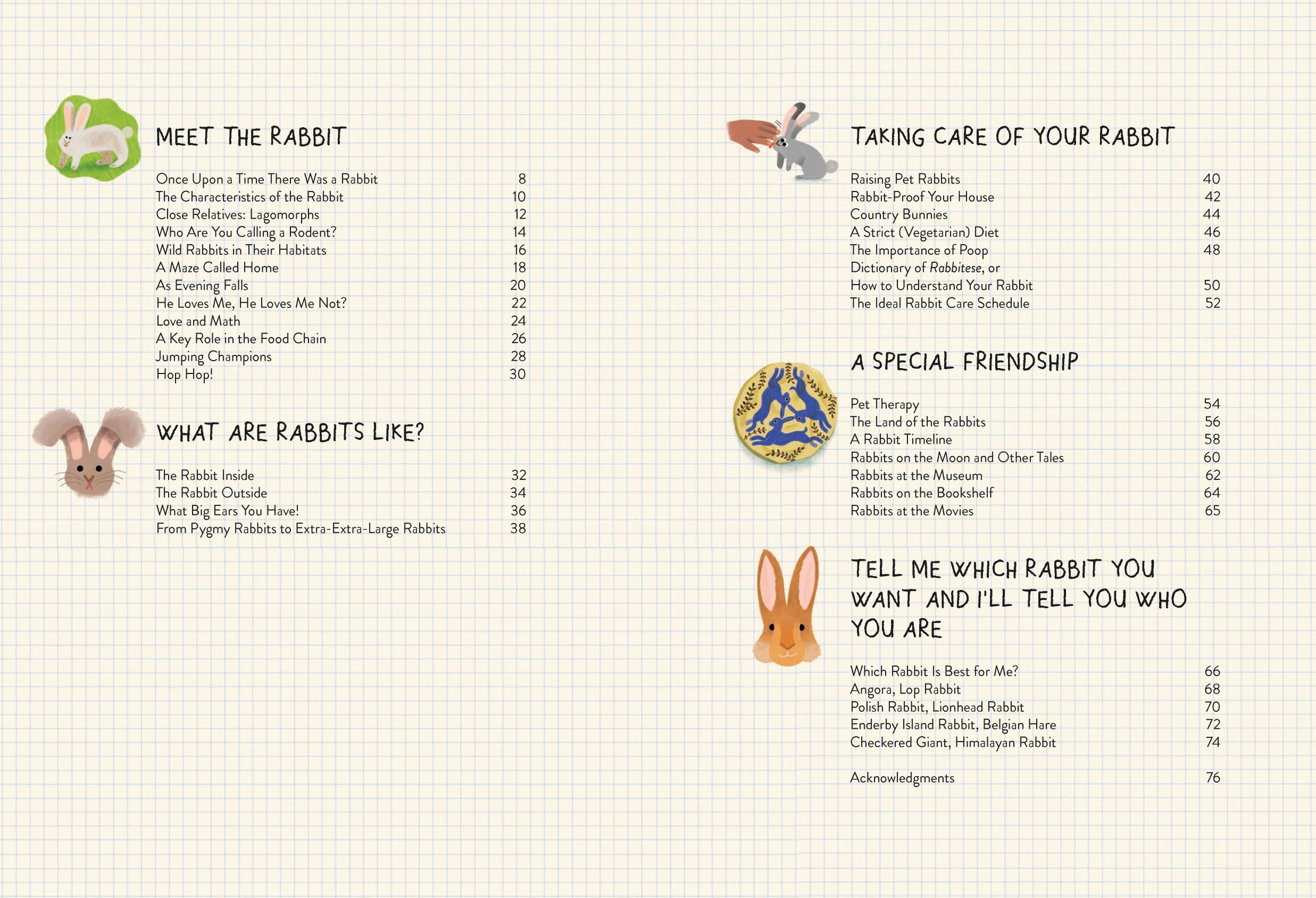 Rabbitology