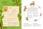 Rabbitology