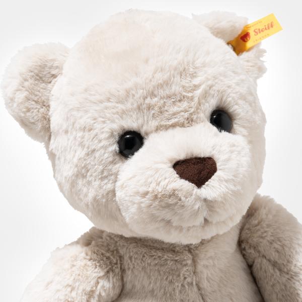 Robby Teddy Bear
