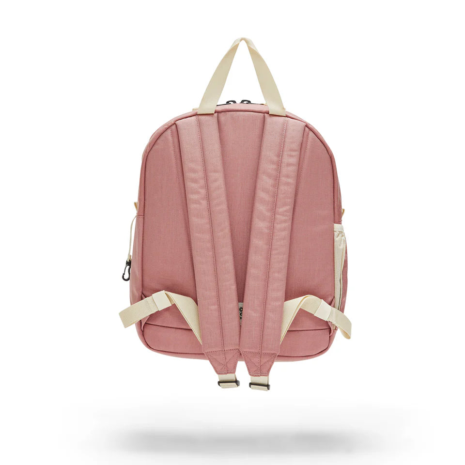 Tiny Tommy Pack