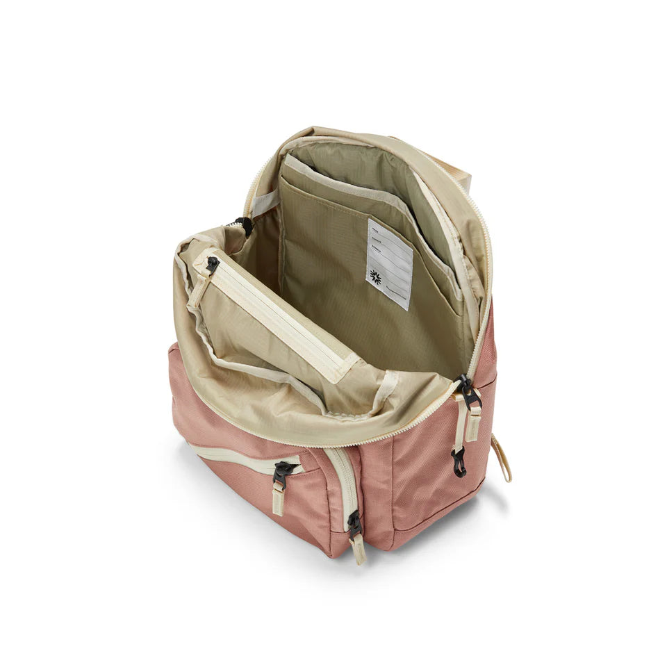Tiny Tommy Pack