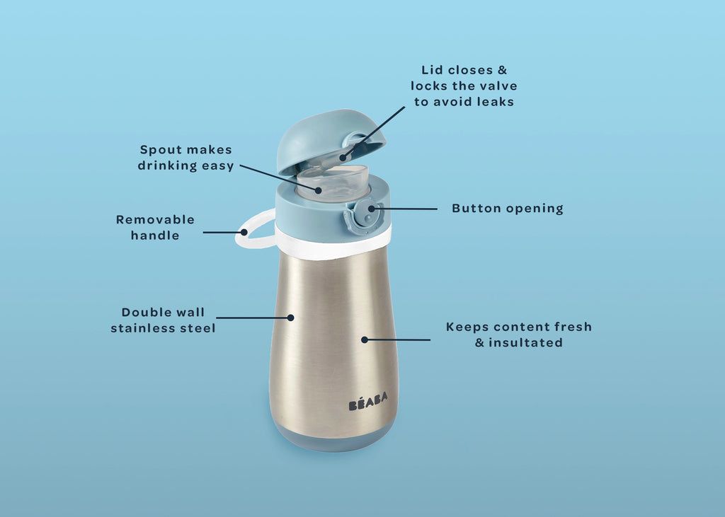 Stainless Steel Insulated Water Bottle - Rose