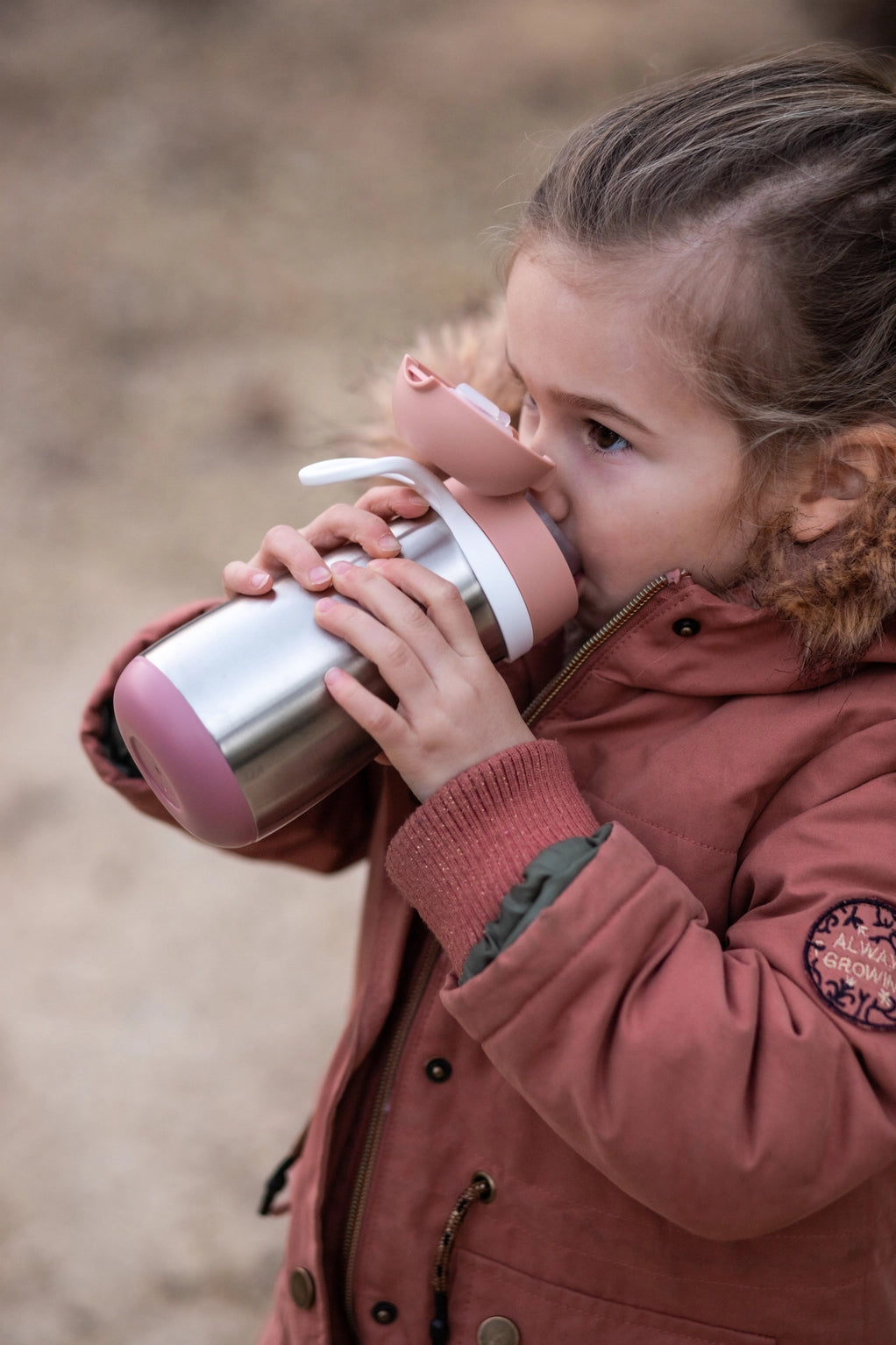 Stainless Steel Insulated Water Bottle - Rose