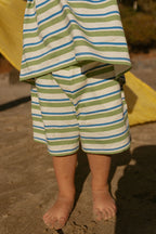 Blue Green Stripe Toby Set