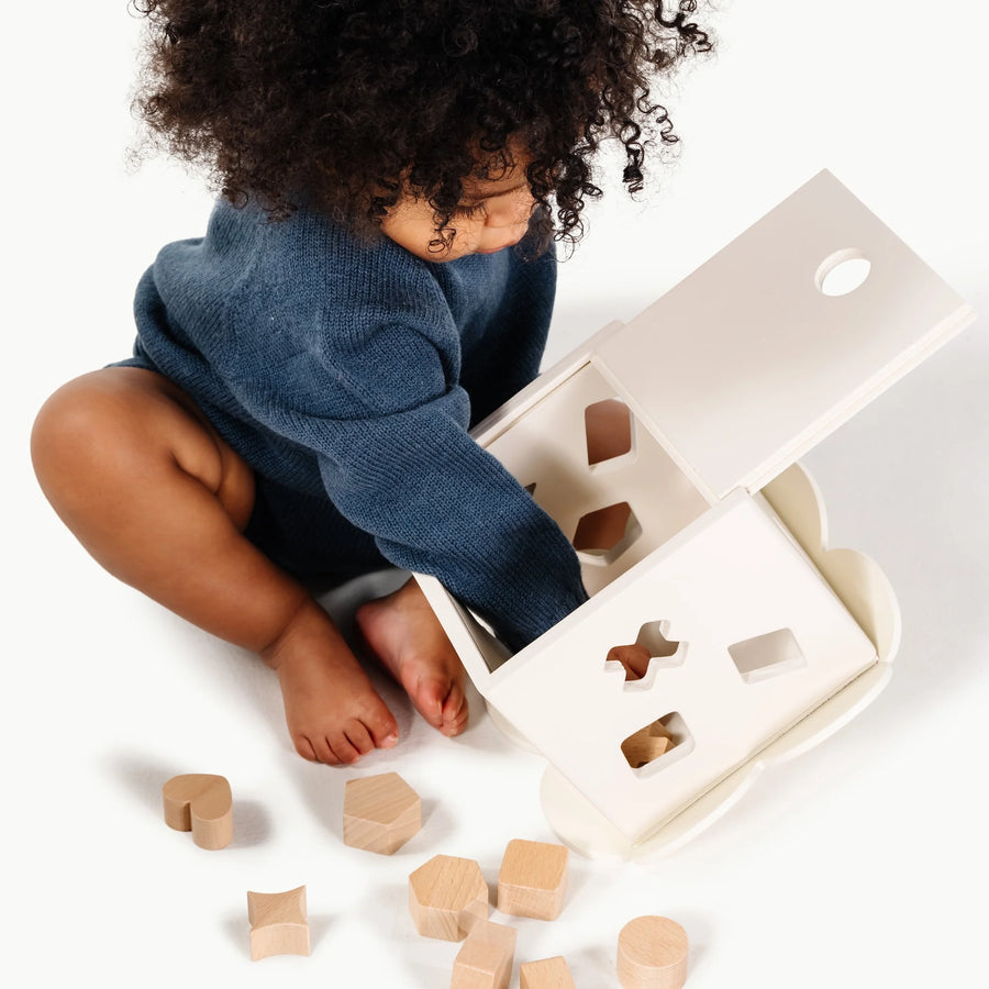 Ivory Shape Sorter