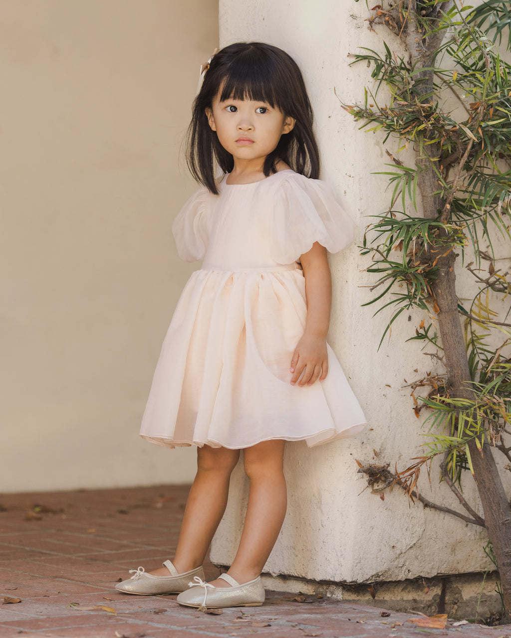 Blush Sofia Dress