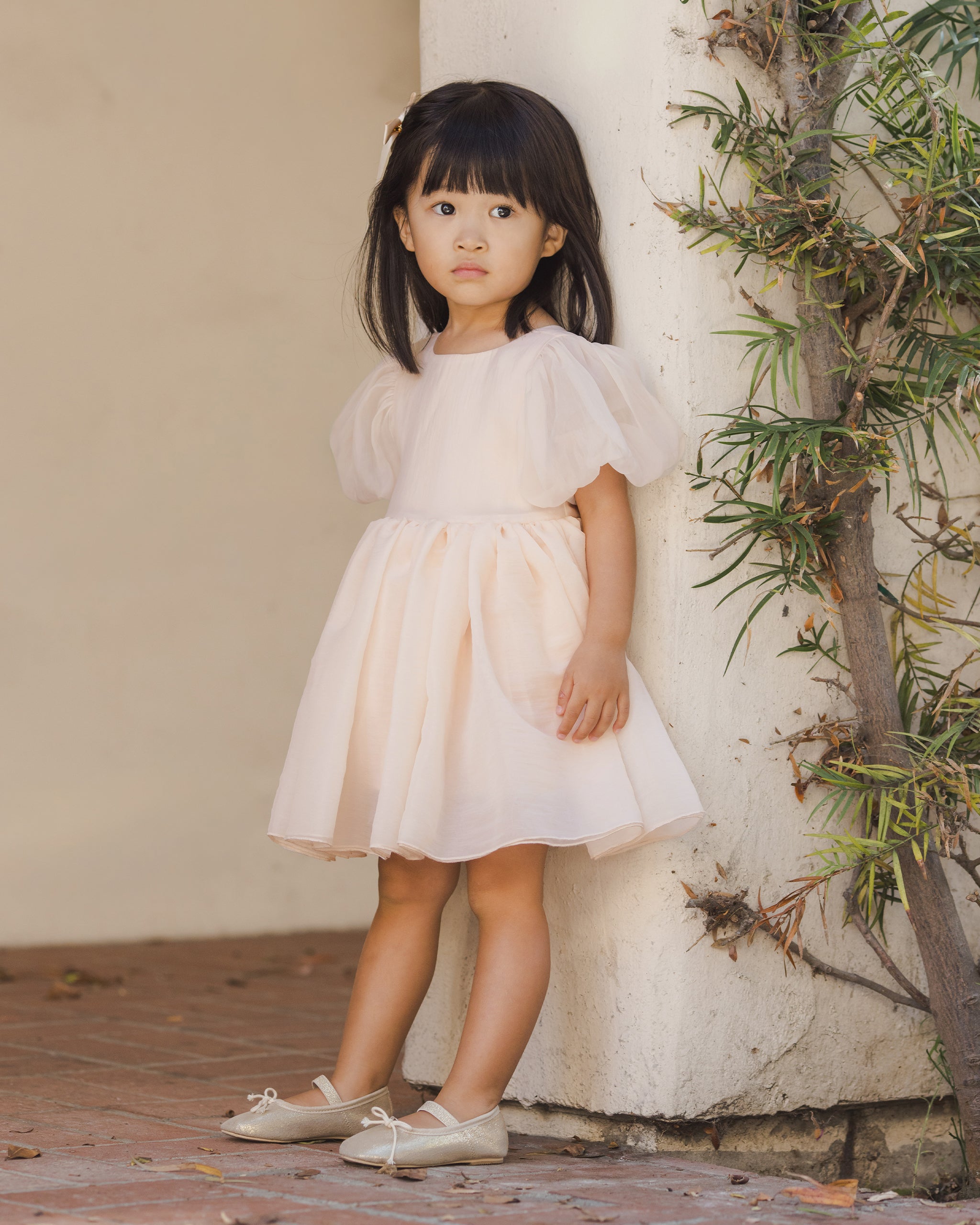 Blush Sofia Dress