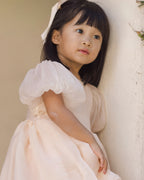 Blush Sofia Dress