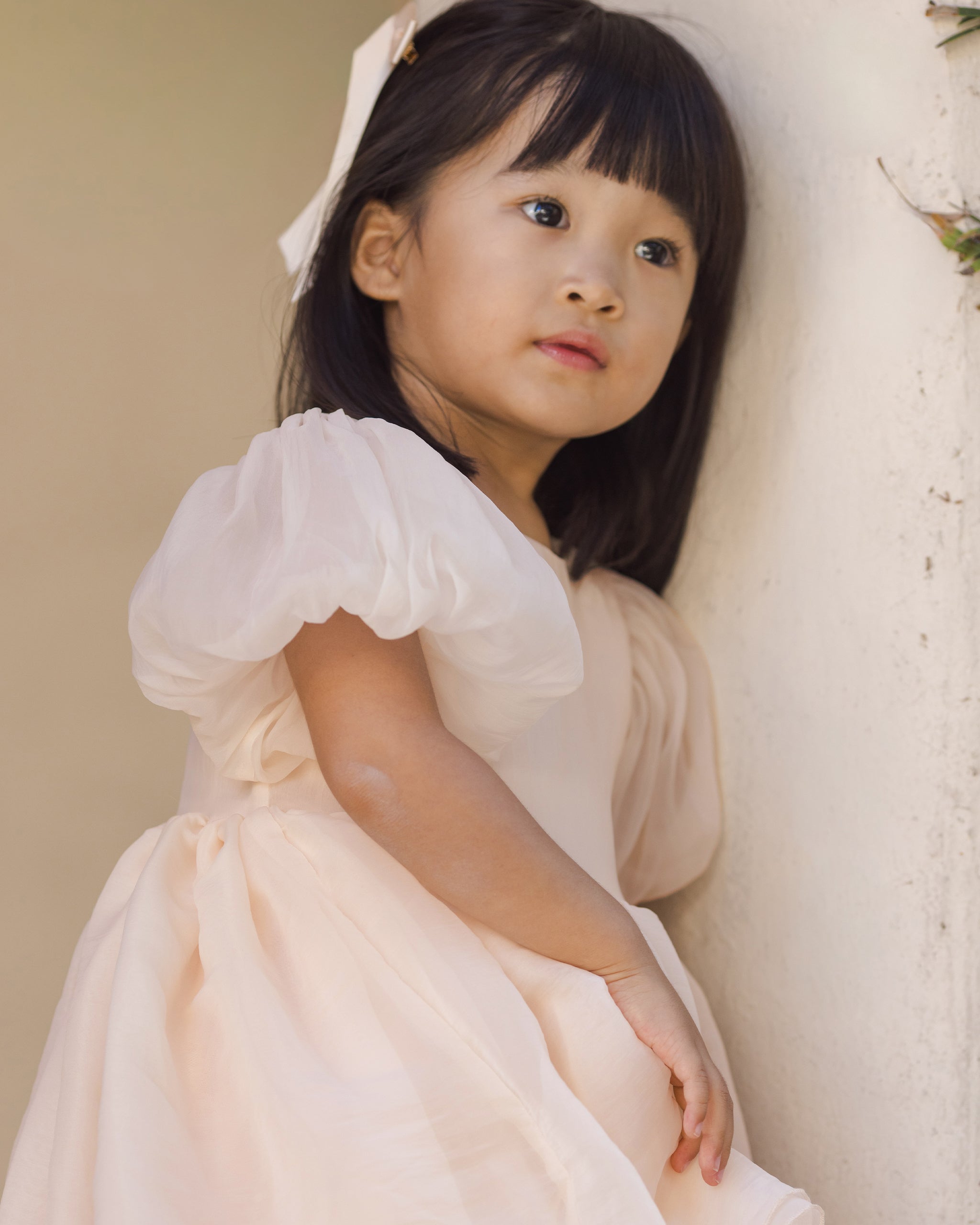 Blush Sofia Dress