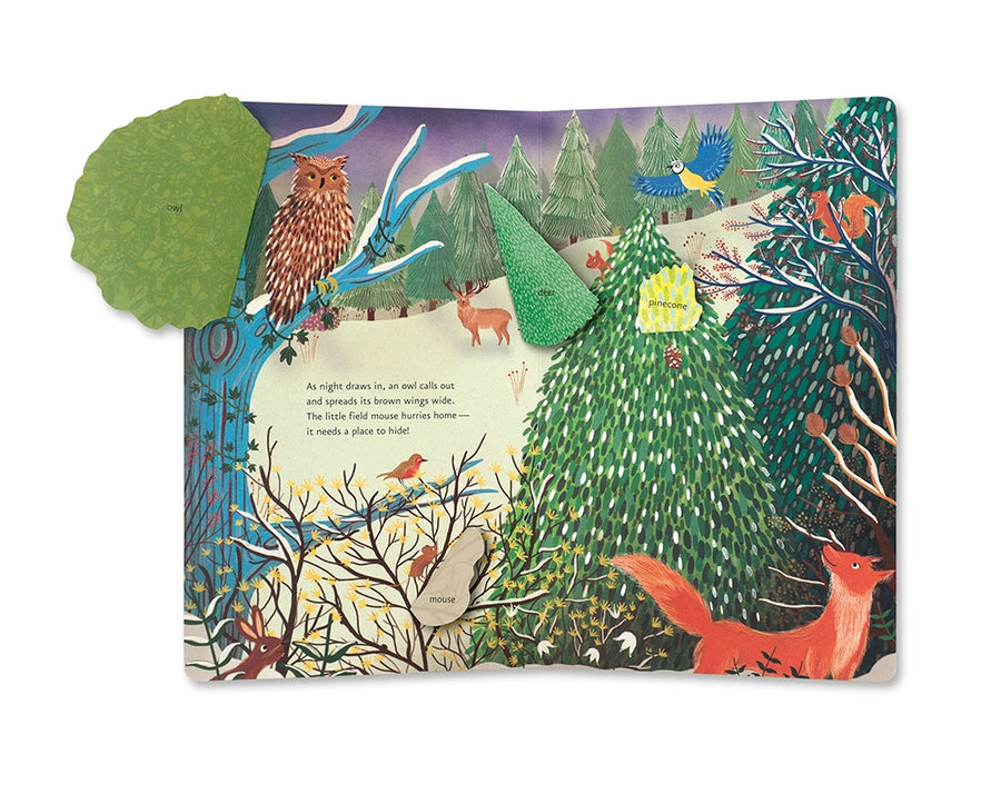 Little Christmas Tree - Lift the Flap