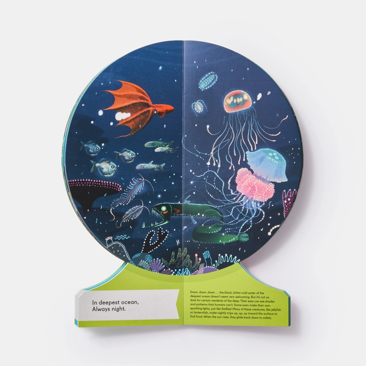 Our Underwater World: Dive Into Oceans, Lakes, Rivers Board Book