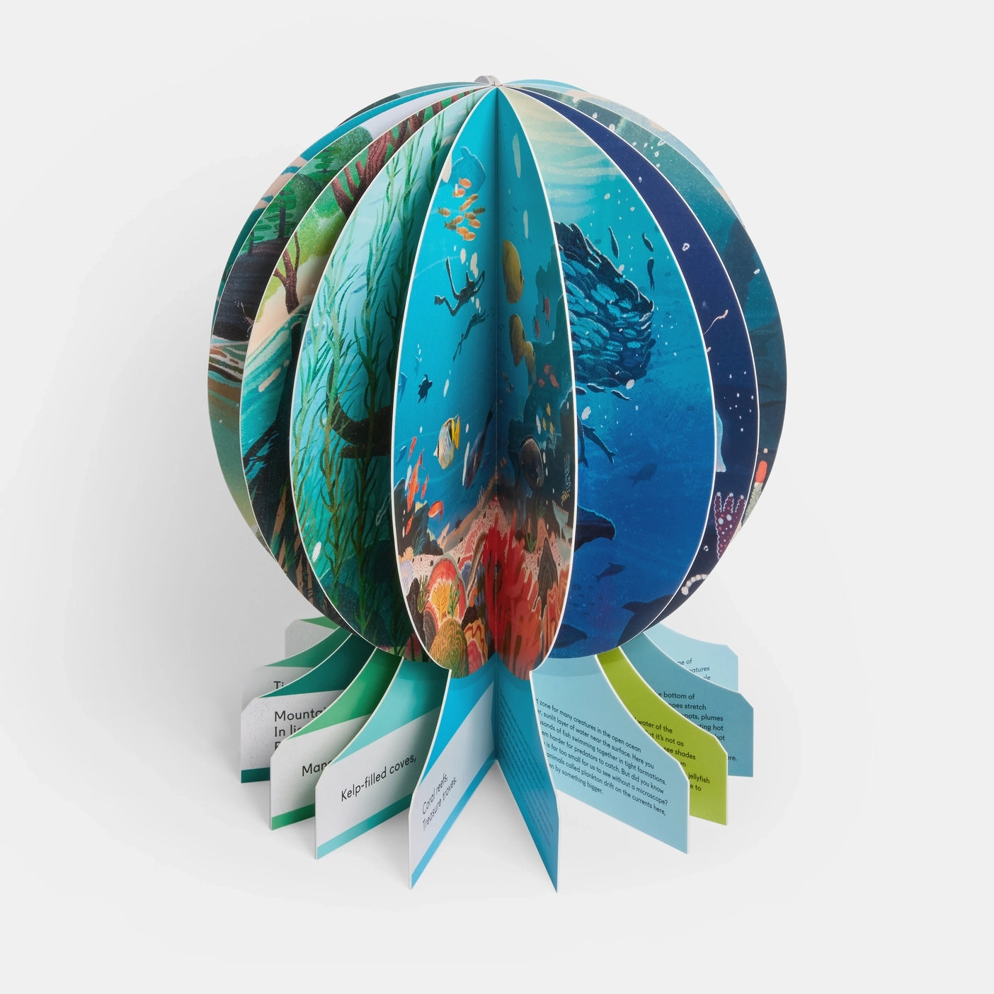 Our Underwater World: Dive Into Oceans, Lakes, Rivers Board Book