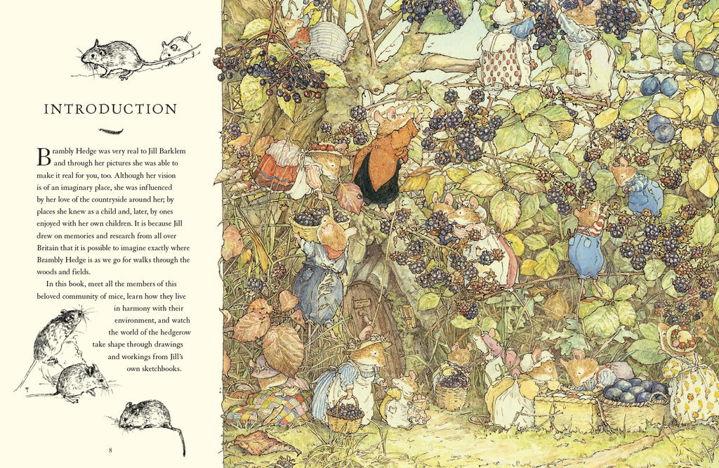 A Visit to Brambly Hedge