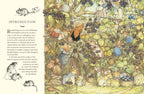 A Visit to Brambly Hedge