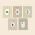 Our Little Library Board Book Box Set - Volume III