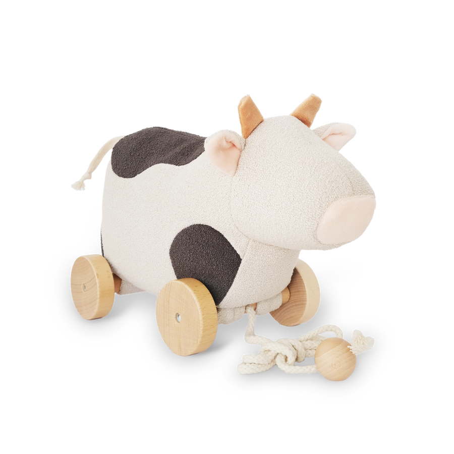 Willow Pull-Along Toy