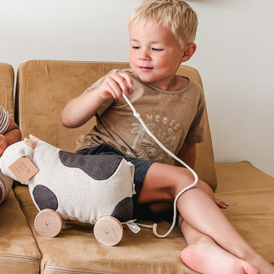 Willow Pull-Along Toy