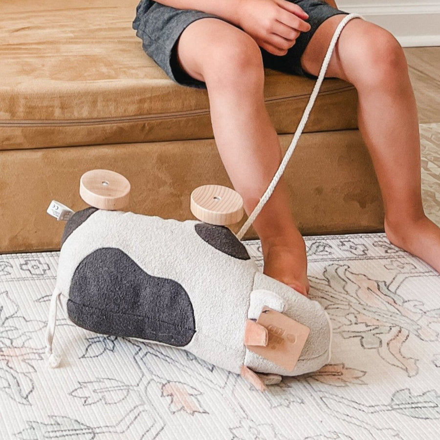 Willow Pull-Along Toy