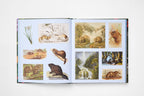 The Sticker Treasury of Woodland Adventures