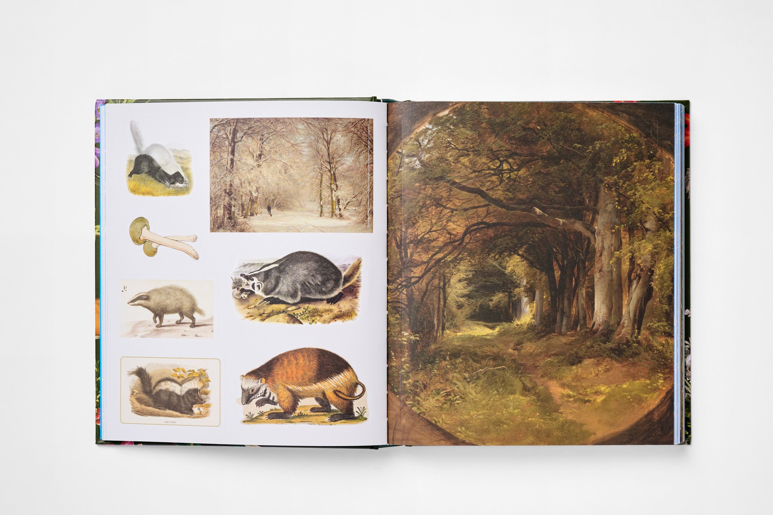 The Sticker Treasury of Woodland Adventures