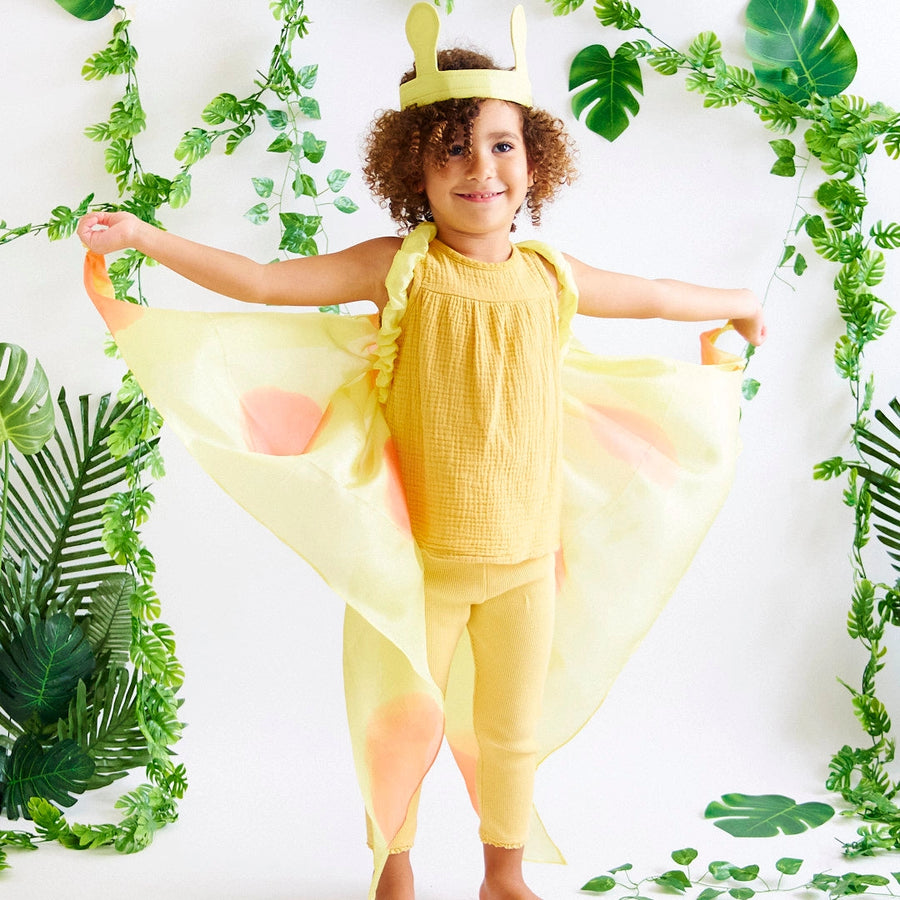 Yellow Butterfly Wings