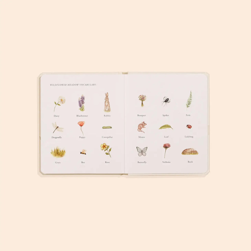 Our Little Adventures Board Book Box Set