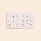 Our Little Adventures Board Book Box Set