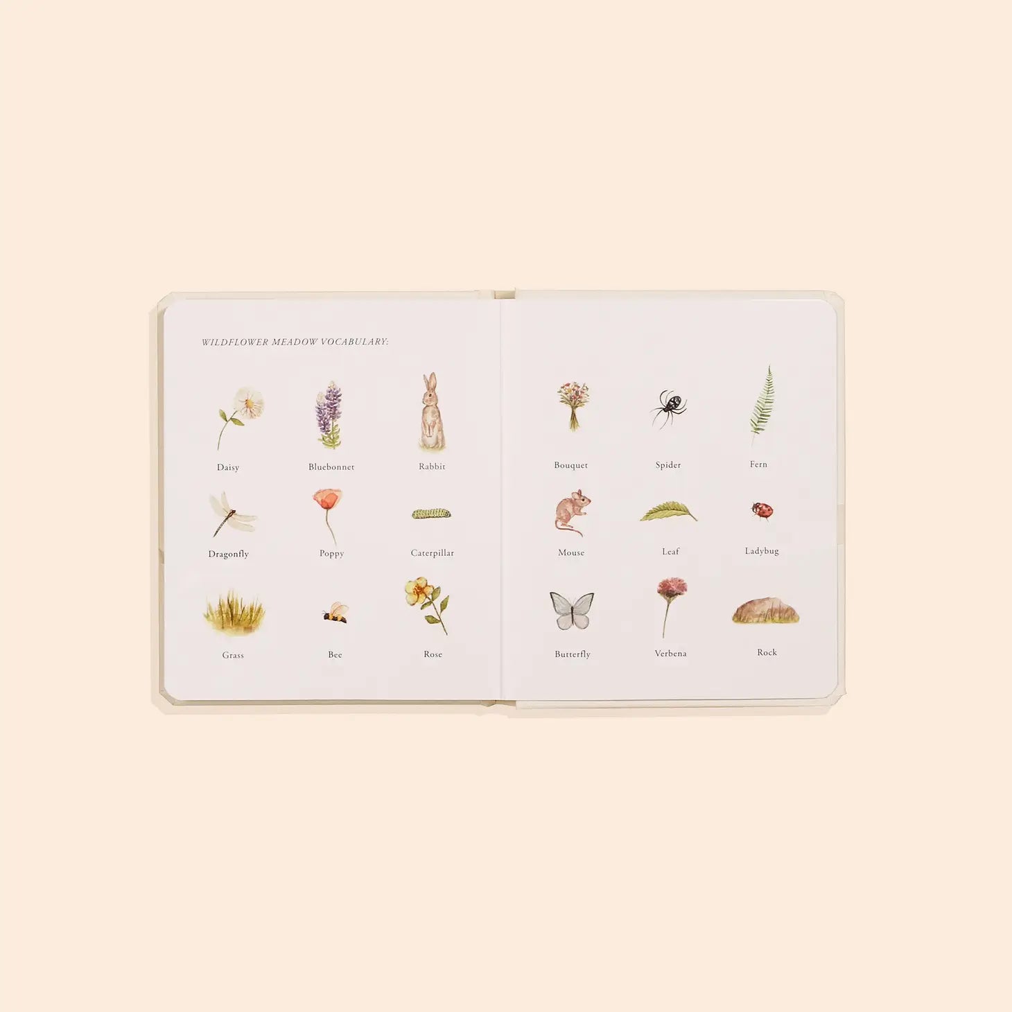 Our Little Adventures Board Book Box Set