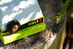 Everglades Mule