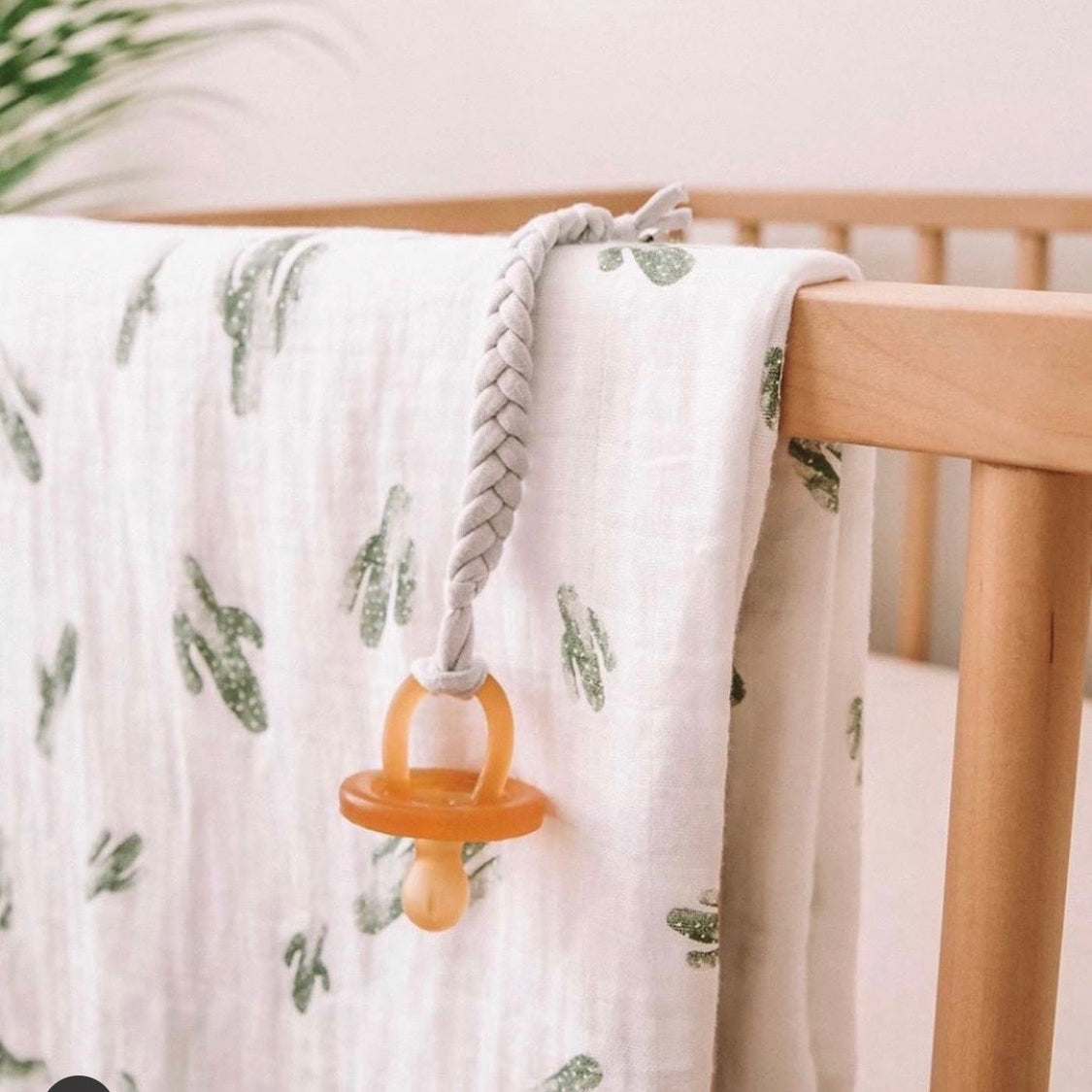 Natural Ecopacifier