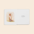 Our Little Adventures to the Farmers Market Board Book