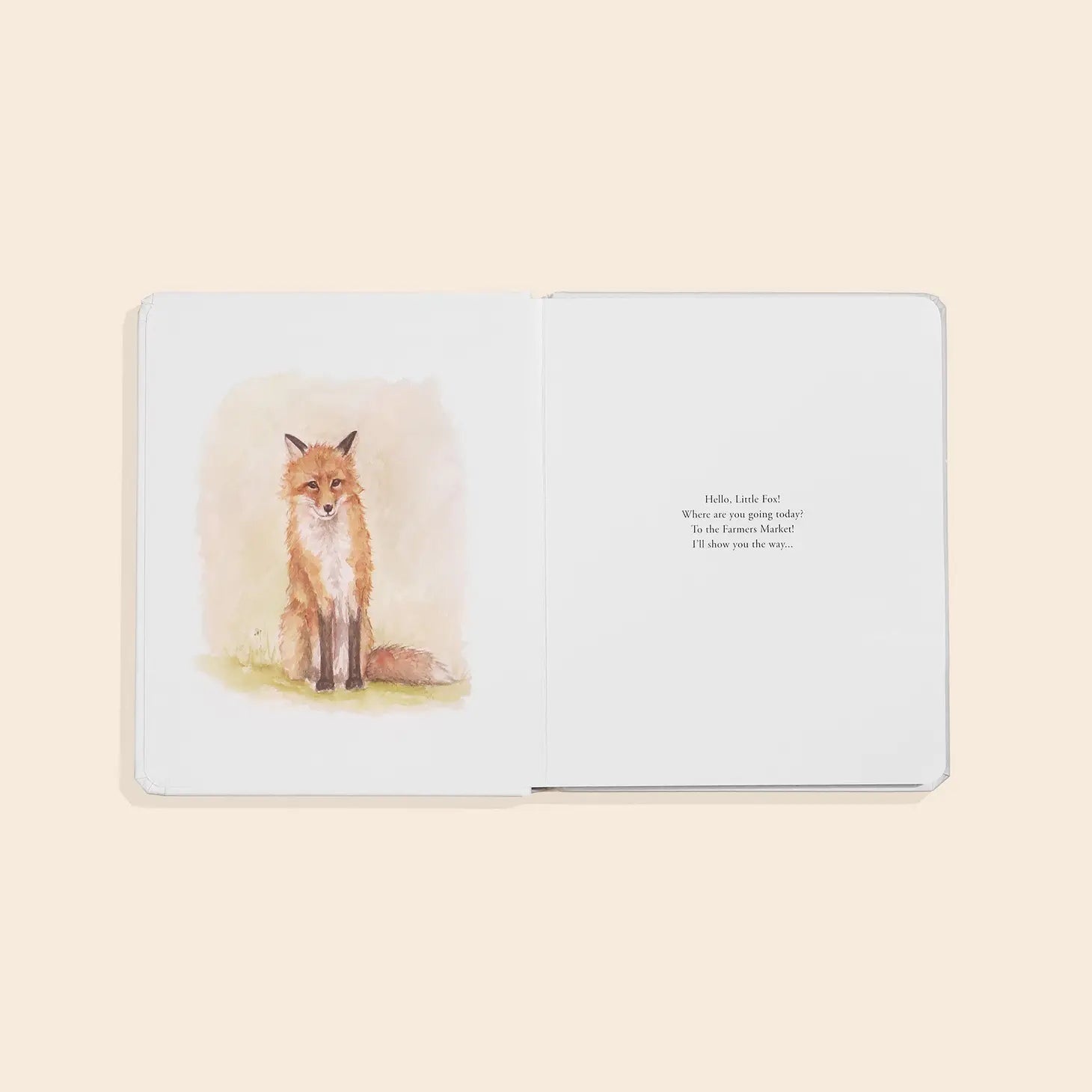 Our Little Adventures to the Farmers Market Board Book