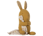 Bunny Lullaby Friends
