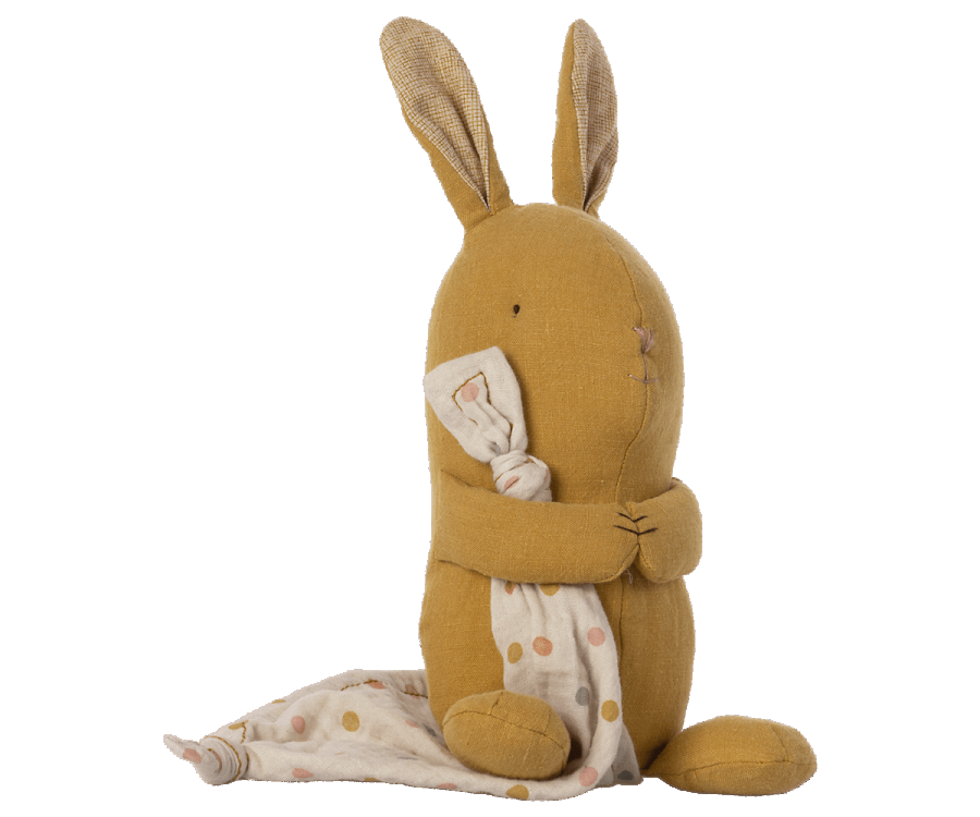 Bunny Lullaby Friends