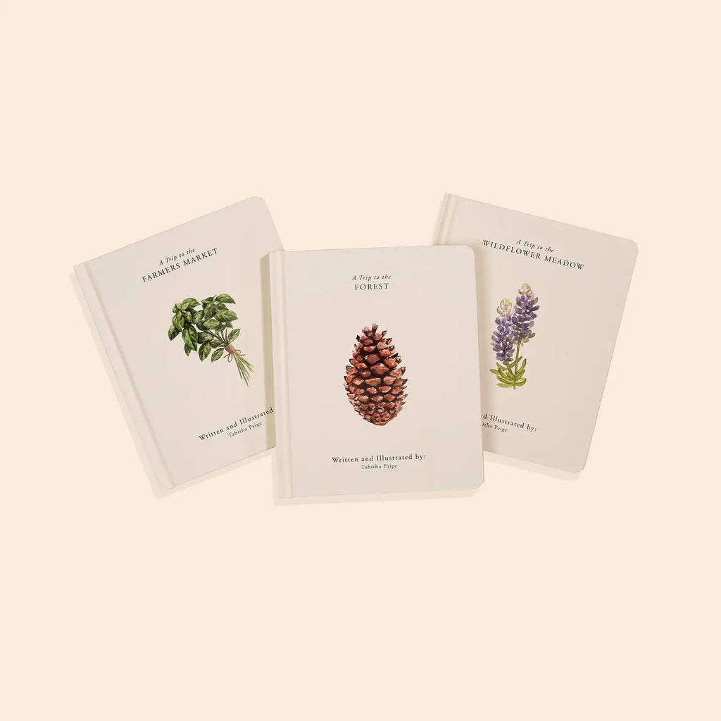 Our Little Adventures Board Book Box Set