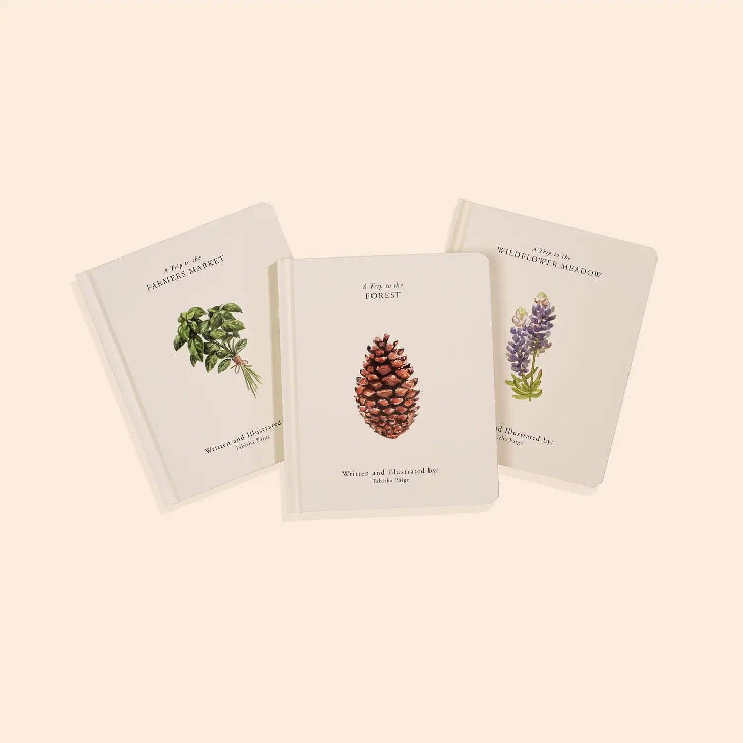 Our Little Adventures Board Book Box Set