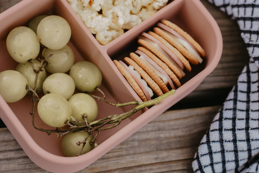 Silicone Bento Boxes